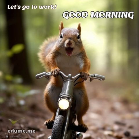 Good morning funny images for Whatsapp picture squirrel gratis