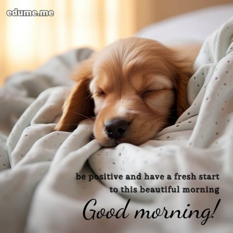 Good morning whatsapp picture puppy gratis