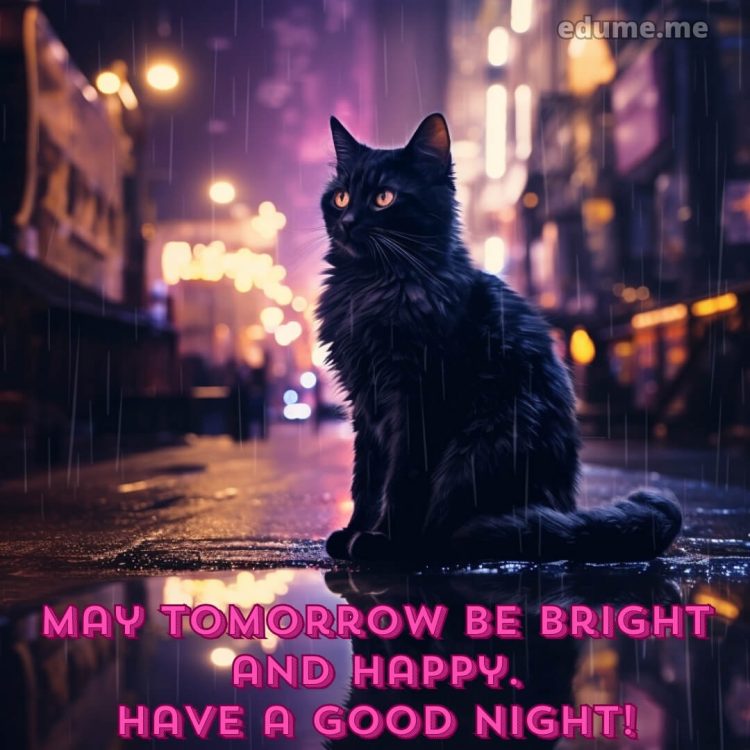 Good night image for Whatsapp picture black cat gratis
