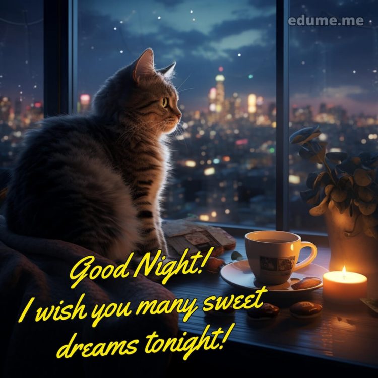 Good night image for Whatsapp picture city in a window gratis
