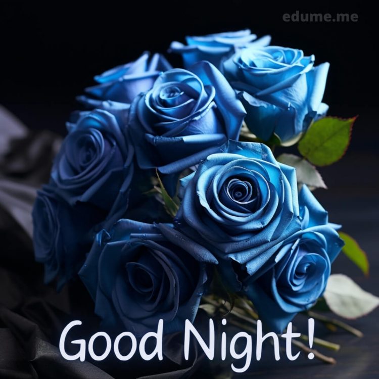 Good night rose picture blue flowers gratis