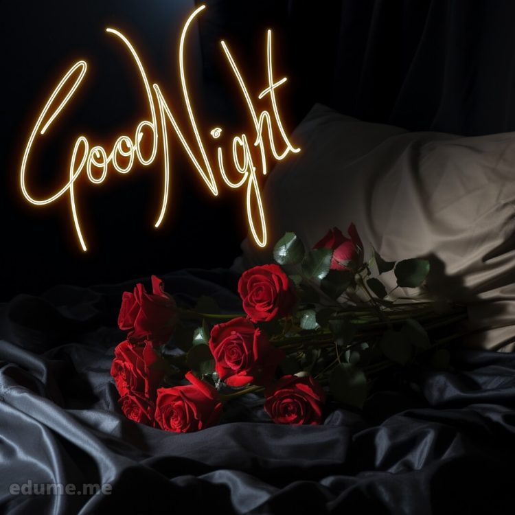 Good night rose image picture bed gratis