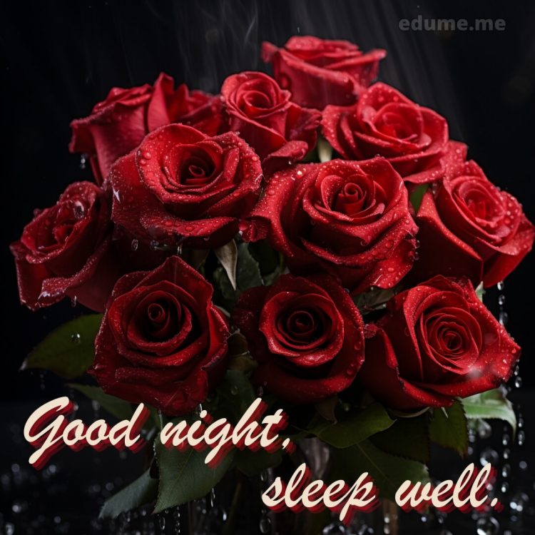 Good night rose images picture red roses gratis