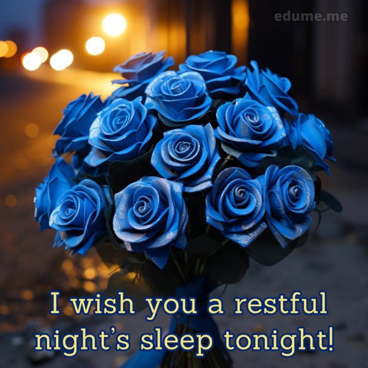 Good night rose images picture blue roses gratis