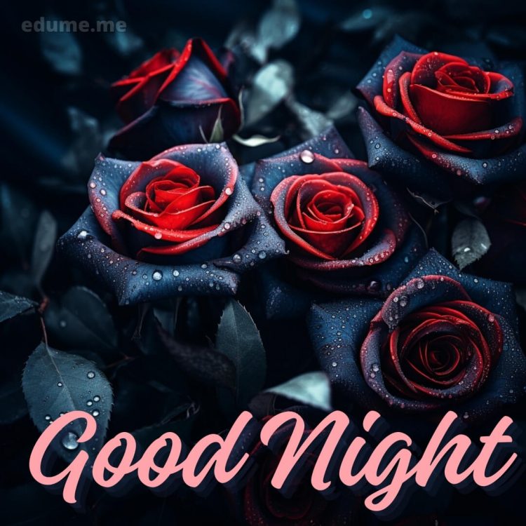 Good night with rose picture dark roses gratis
