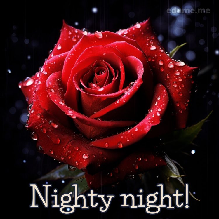Good night with rose picture rose gratis
