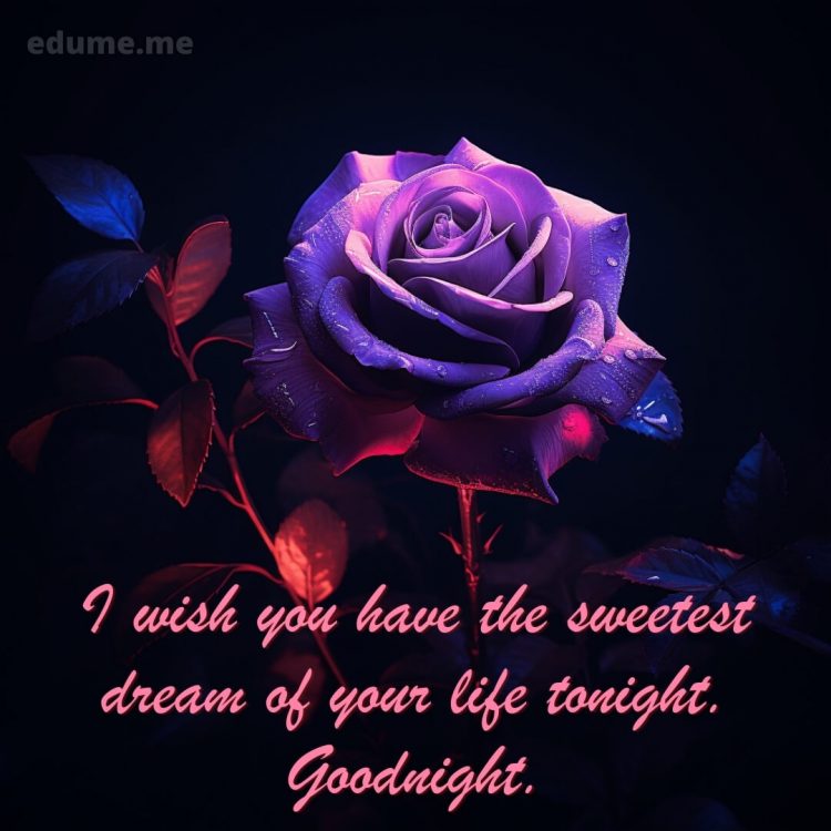 Good night with rose picture purple flower gratis