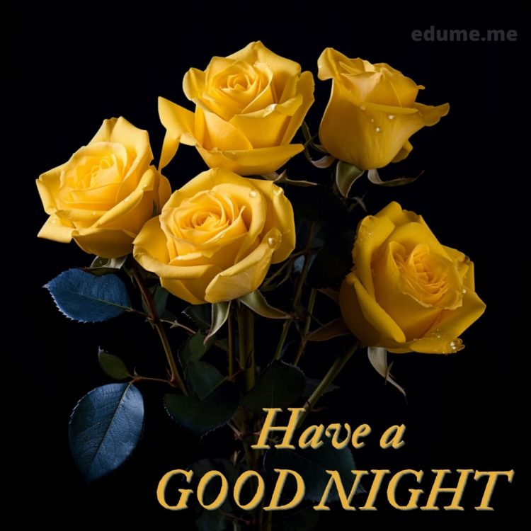Good night with rose picture yellow flowers gratis