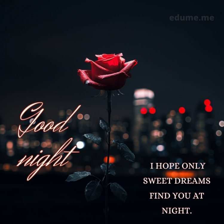 Good night with rose picture town gratis
