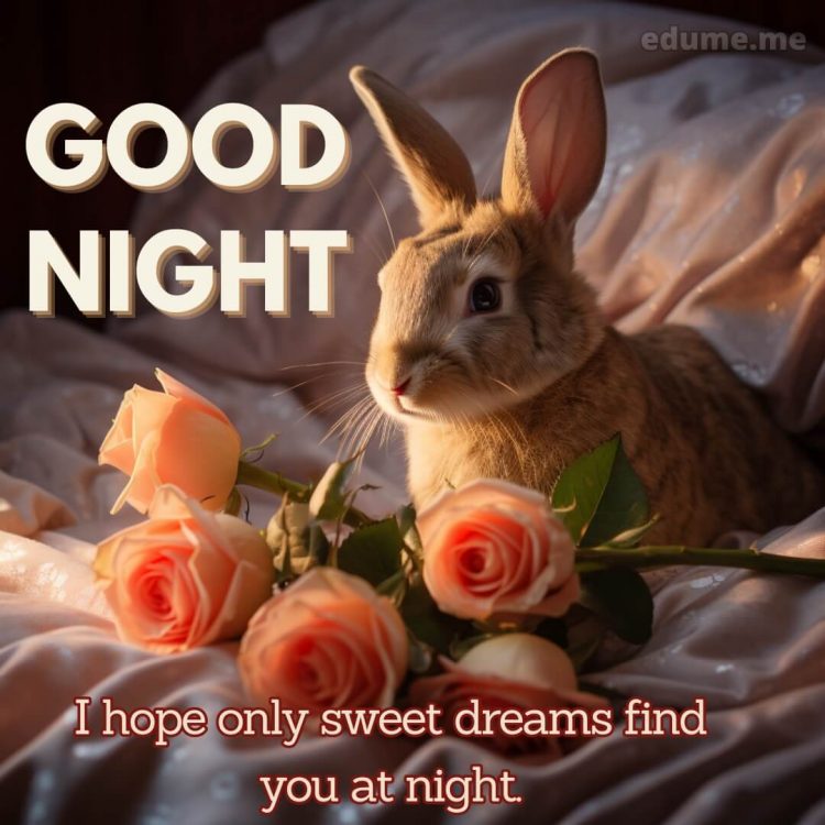 Rose good night picture rabbit gratis