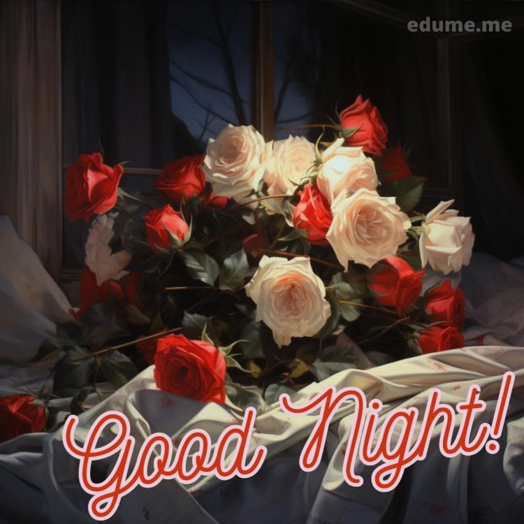 Rose good night images picture flowers gratis