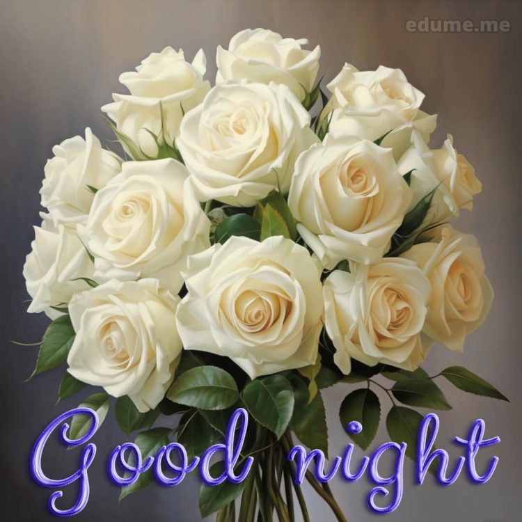 Rose good night images picture white flowers gratis