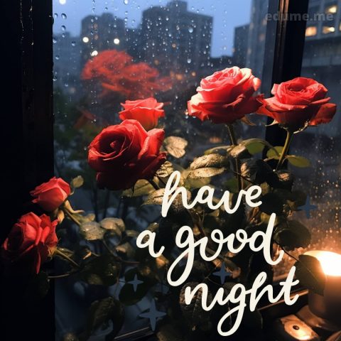 Rose good night images picture town gratis