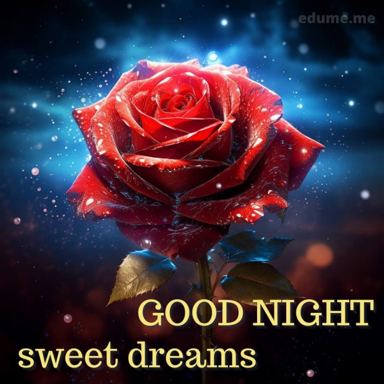 Sweet dreams good night rose picture rose gratis