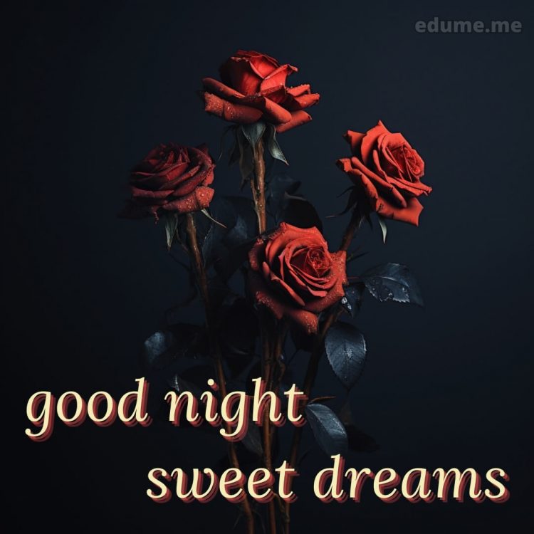 Sweet dreams good night rose picture red flowers gratis