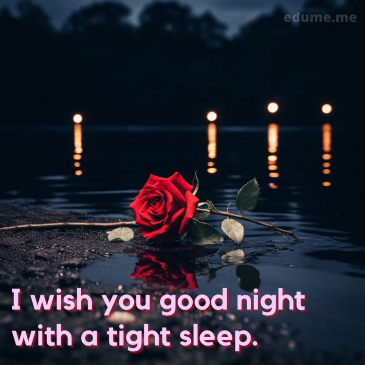 Sweet dreams good night rose picture water gratis