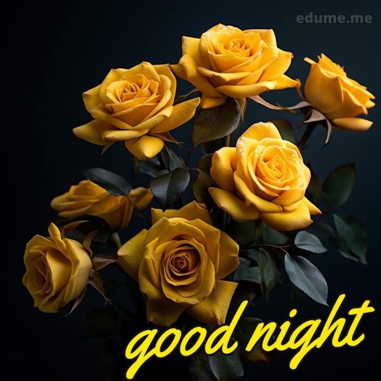 Sweet dreams good night rose picture yellow roses gratis