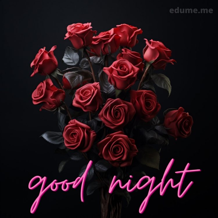 Sweet dreams good night rose picture bouquet gratis