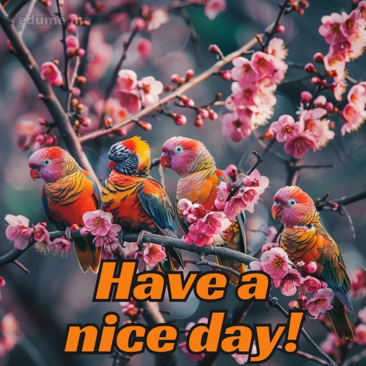 Good day wishes picture birds gratis