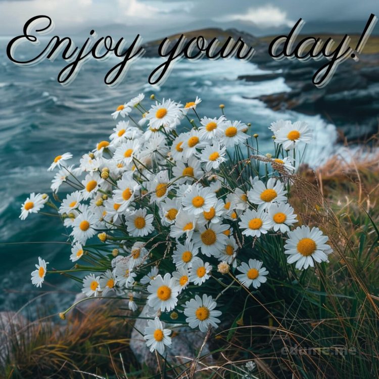 Have a good day picture daisies gratis
